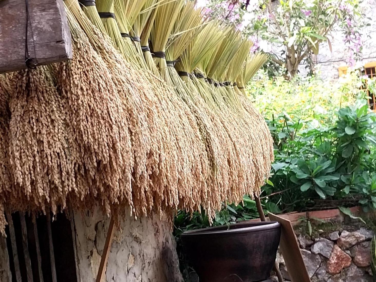 Trieu Hoan Homestay Каобанг Екстер'єр фото